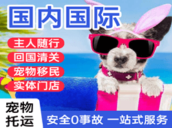 莫高航空货运国际宠物托运 【国